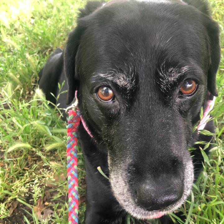 A2a8d527 50e9 4c1d 8cd8 34303bc21408 1590288930933