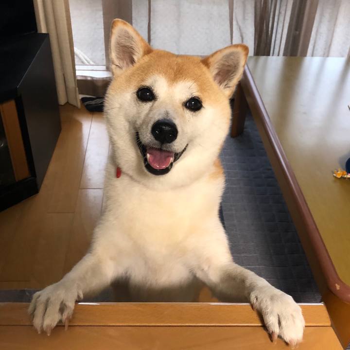 A2a919f0 9120 4a22 97b3 bae89e27078c 1594421484105