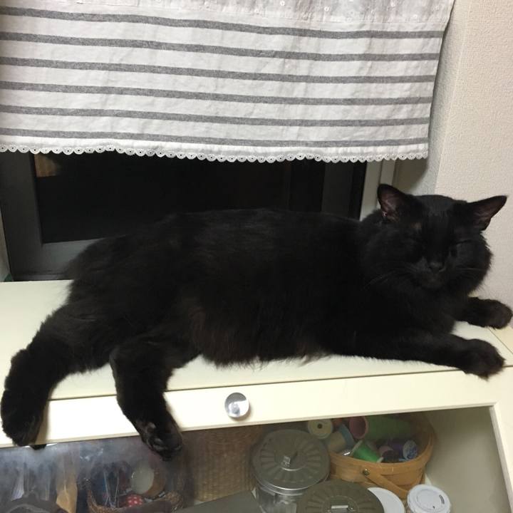 A2a9203c 35b2 4857 9949 dd8fae726e71 1532703436652