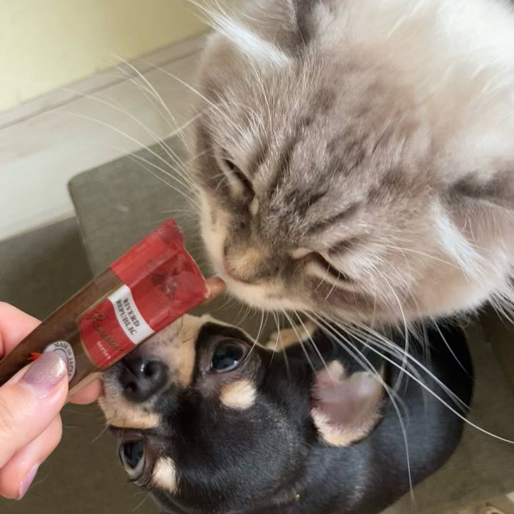 A2a95180 fbc2 410f bdc2 e227cb0d6e01 1719839030267