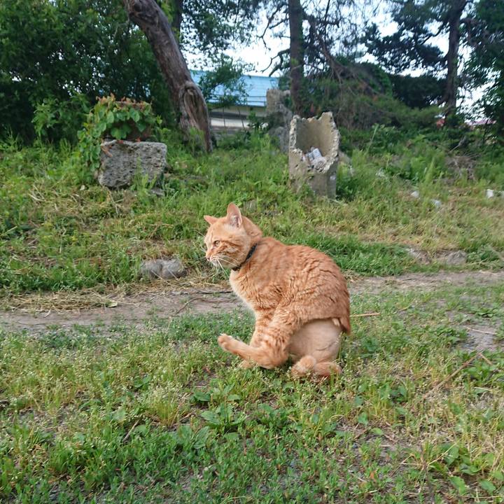 A2a980e2 728d 49f4 888b 793bd8ee23ff 1654117597591