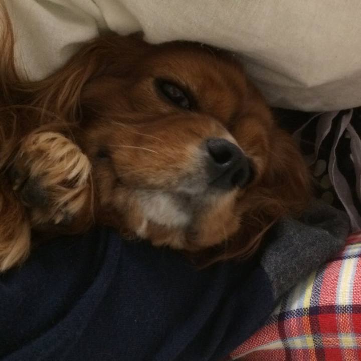 A2a987c2 e9ad 4a77 b192 43dbd5b720e9 1605046449906