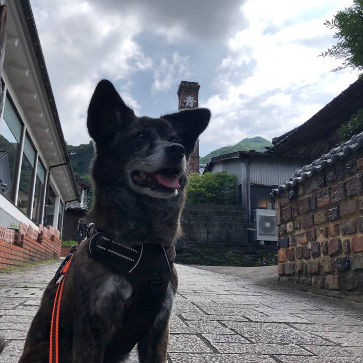 A2a9b353 e91a 4152 8f1b d3449e912006 1628678901860