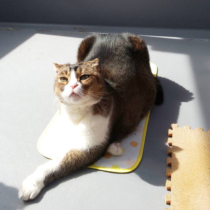 A2a9ca67 61e2 4c1d 8fb0 3ec359bfe044 1614830379086