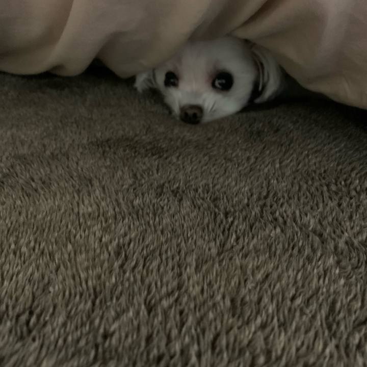 A2a9dd1f b6aa 431d 8229 272fb6ee46bd 1669117896329