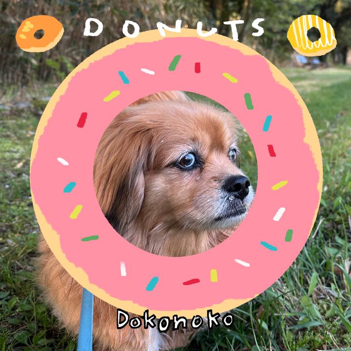 A2a9e57d b456 4cbb 821e 2a4b8e0db73d 1744752406501