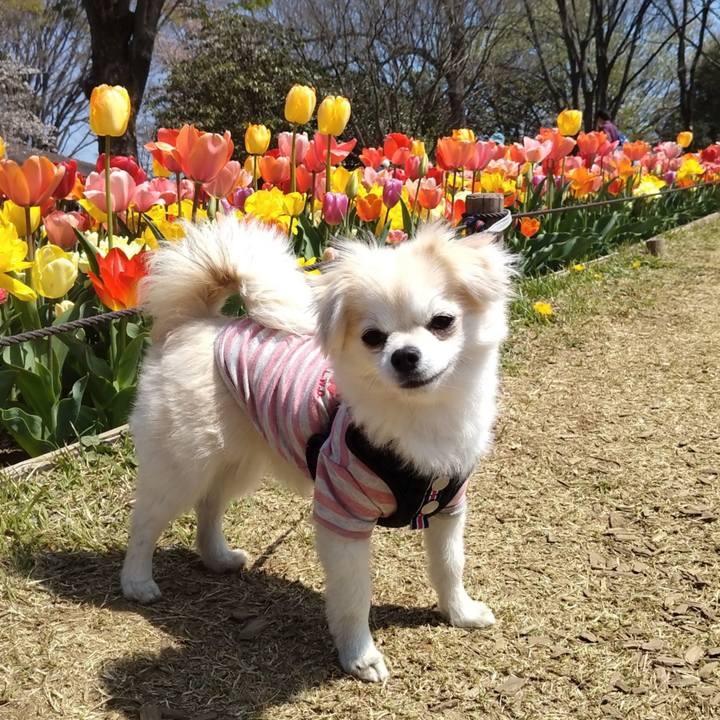 A2a9ed5c ff18 4c3c b9fb d2dd85010a74 1649588338768