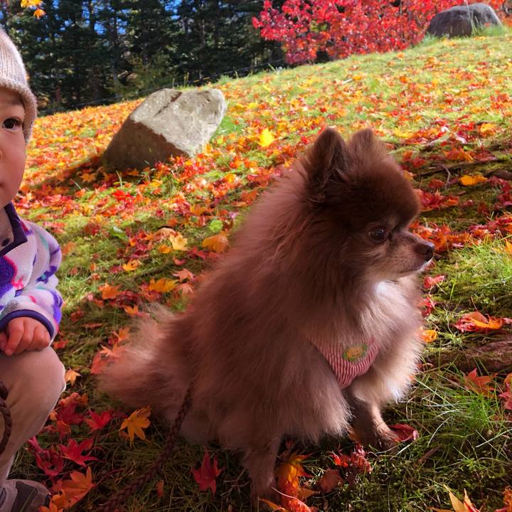 A2aa0722 444c 458a a2ae 3ce40e83eaf2 1635571668085