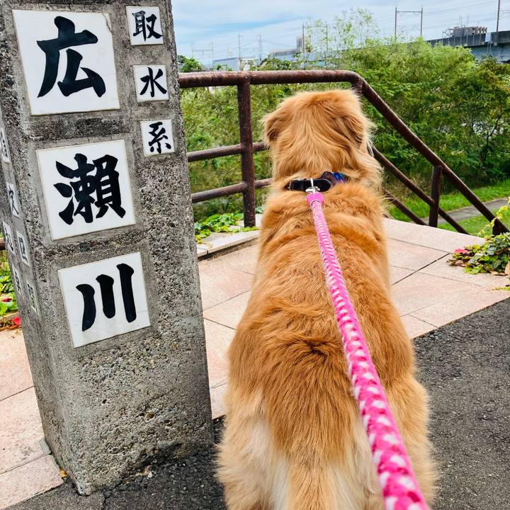 A2aa08ef f42e 423b 9212 c6a421ee5ddf 1762054013566