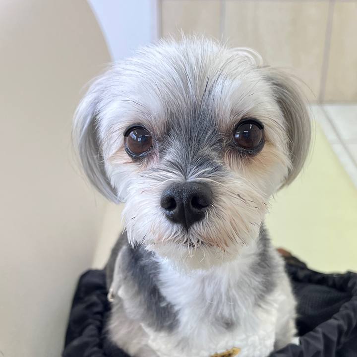 A2aa1173 dc4a 488b 8bcd 0584623d1c10 1761817037955