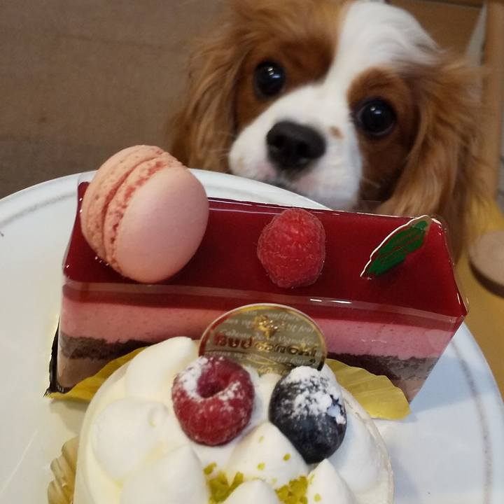 A2aa4777 826e 4601 a7e0 20d7d161db39 1577280680973