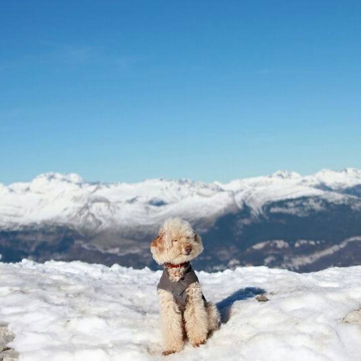 A2aabc48 8086 4866 a102 33a42525c92c 1578924995870