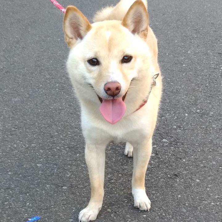 A2aadb2c 97c3 4fbc b68d 49fac2eed31a 1526804361062