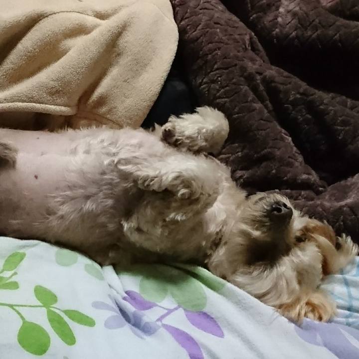 A2aaf248 6f41 4956 9551 6a7ca1b4242b 1604671932604