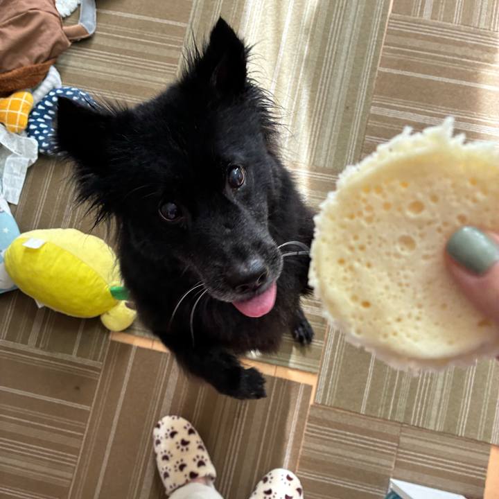 A2ab3890 7631 417d b6db b43b7011dd2d 1765616342769