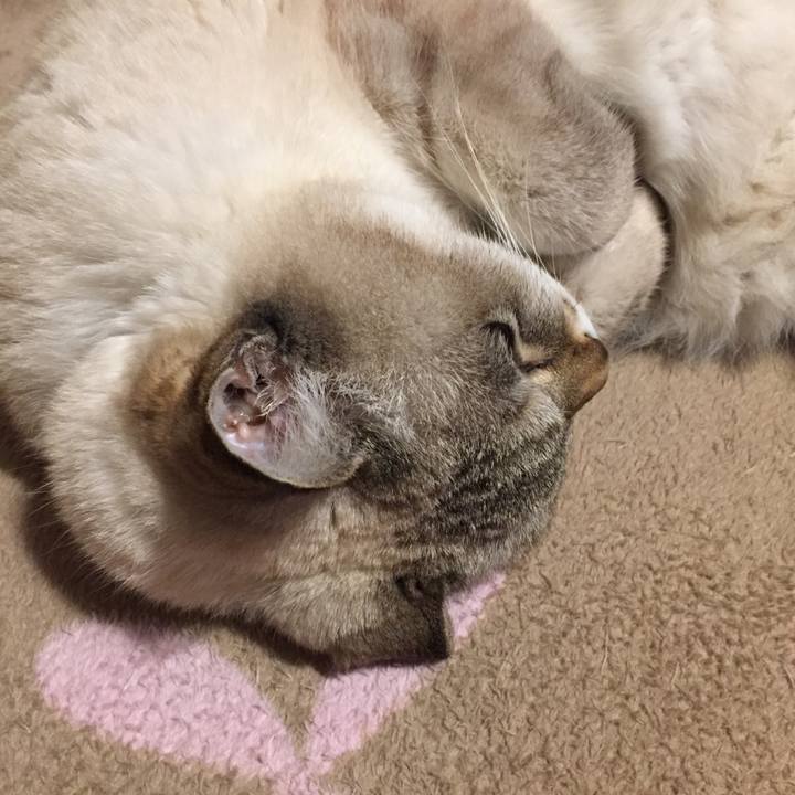 A2ab4672 6e7d 4f55 a2ec bc05b36c402c 1576368418208