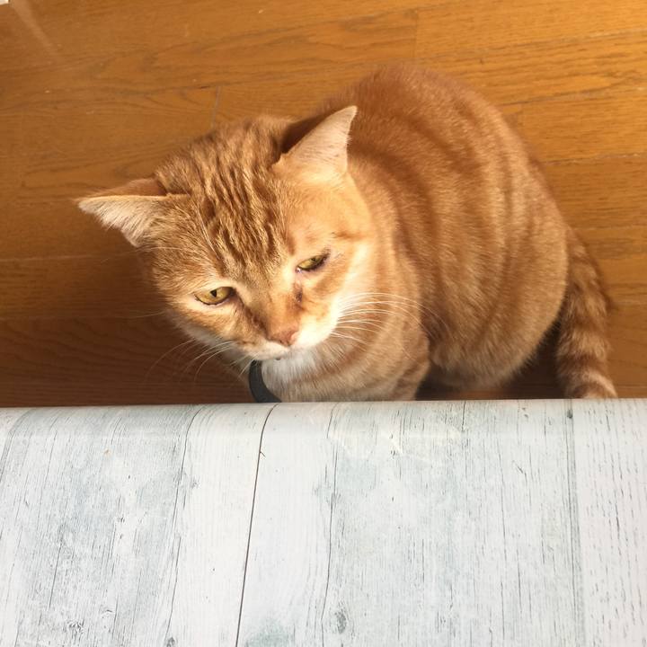 A2ab787b 5491 40a3 acd9 ee0d99637cfb 1555734140318