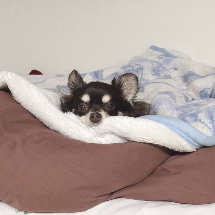 A2abcb28 7744 4d77 ae51 860d67d185c8 1548370388132