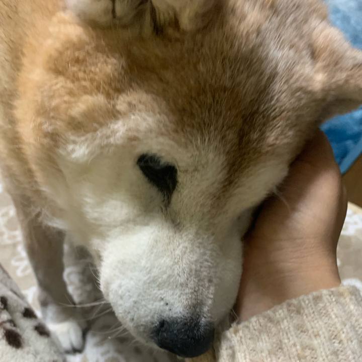 A2abe6c1 8788 44e3 9f6d 7603db004680 1672393568127