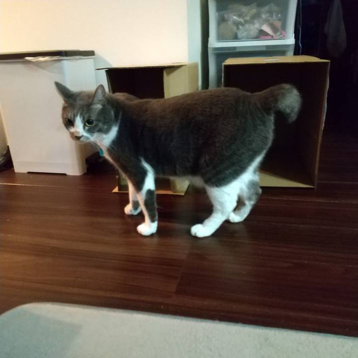 A2ac0b8b 5529 496f adb2 77ca4bf395c5 1635717347133