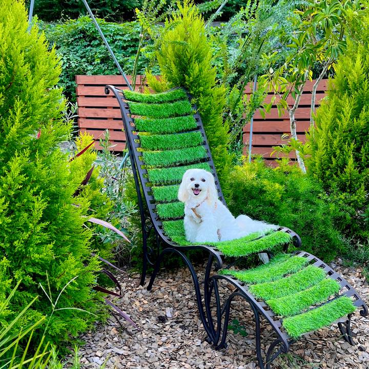 A2ac66bc 9b5b 44d3 9382 a1986b768f2d 1692446691542