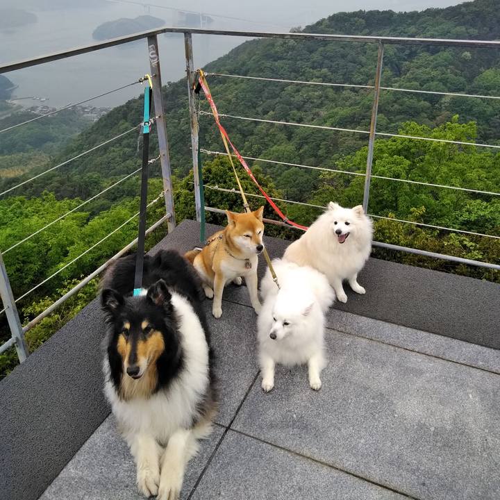 A2ac6f84 01bb 4bf6 ba31 6b54164b7b7d 1525347536492