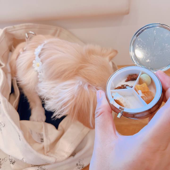 A2ac7dc4 961d 468e 9e9b 367395f96db1 1663325670179