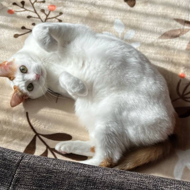 A2ac8ed9 abf0 4c3b ab96 4263fe44acb6 1768223096613