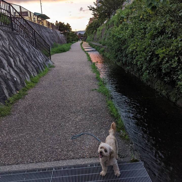 A2aca73b 8fdd 4b94 acd4 a4d4042ef75b 1659004363985