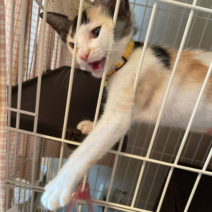 A2acc011 b80b 4763 ac51 0eece96f3e2b 1658370920625