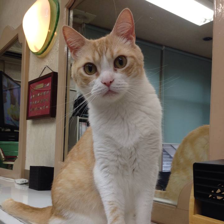 A2acddb4 bade 4672 9c88 370ebc3b5d96 1519866241695