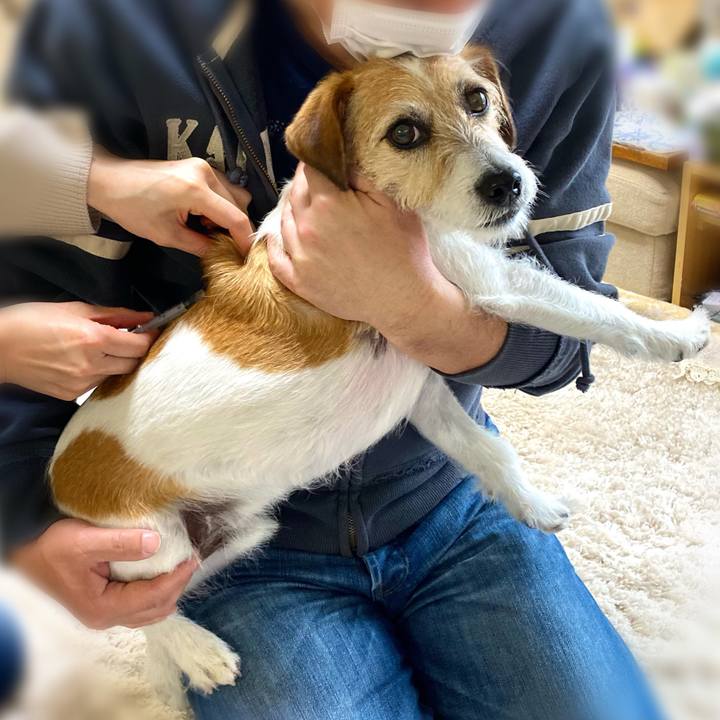 A2ace834 1d6c 4f1a 9821 e22dde6ad835 1616397989685