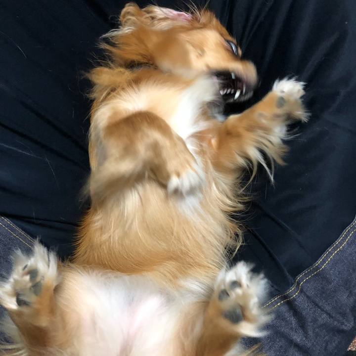 A2acf47b 85ee 440d a280 78982ea2ebcf 1534109568539