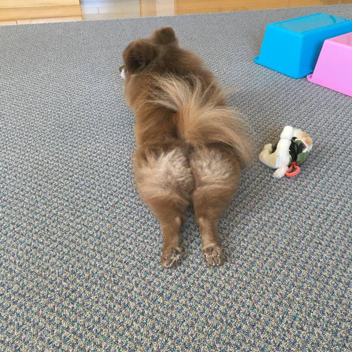 A2ad4967 1346 4cd3 8bfc fd56b234a7d4 1526795514805