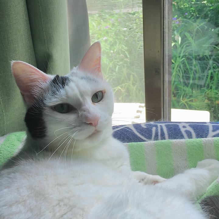 A2ad5475 8ad4 4f4b ba3d 8a7e04ca1c82 1625195996048