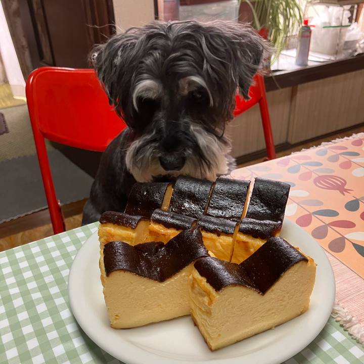 A2ad5768 2de2 408e 9a92 0375a797fad5 1717890955820