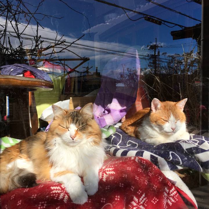 A2ad9d4c e45c 44e3 b361 6a46e8743123 1613631147927