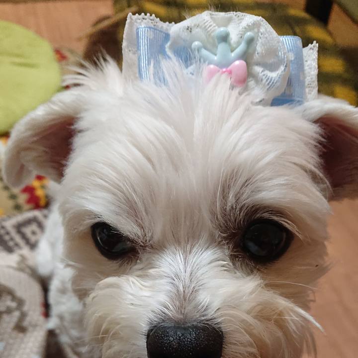 A2ae063f 1534 46c7 beac bca5fd509d63 1552646088092