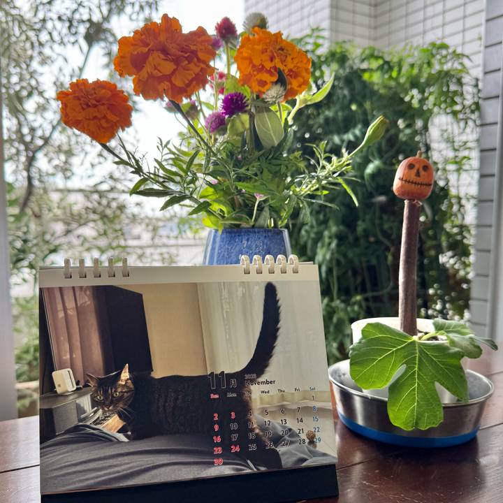 A2ae2120 ab33 4c8d 839a a727c9ef01ea 1761967488214