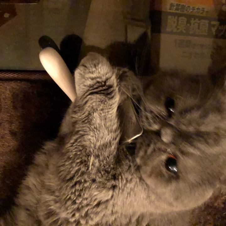 A2ae2d41 0205 4c2f a894 44d2de149742 1553179401854