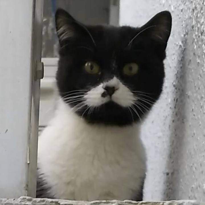 A2ae3a9d a8dd 4de5 b3d6 49b421c59dd4 1549787392151