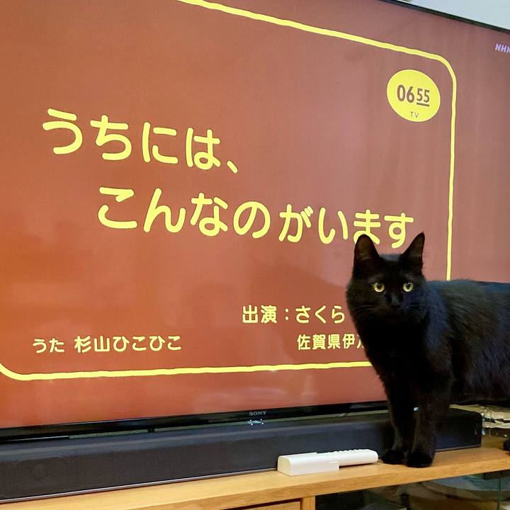 A2ae5776 fa2f 44d4 9ed0 ffccbe1145e7 1734063222761