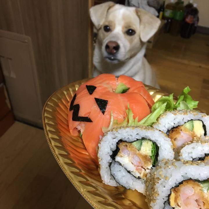 A2ae5fd0 a2d9 4bce af81 229d8d504931 1509183531668