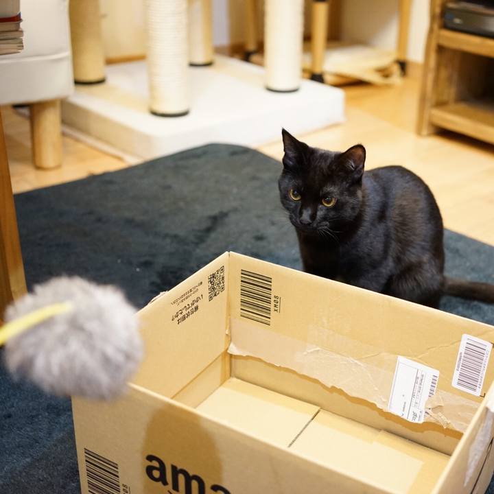 A2ae6c30 68d0 4f6d 82bb 3fdd355d27a2 1512603822959