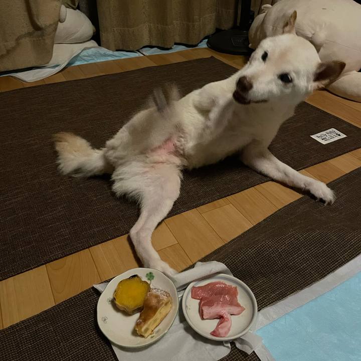 A2aec8ef 01a2 4222 830b 6c0bb02ce16d 1665777172295