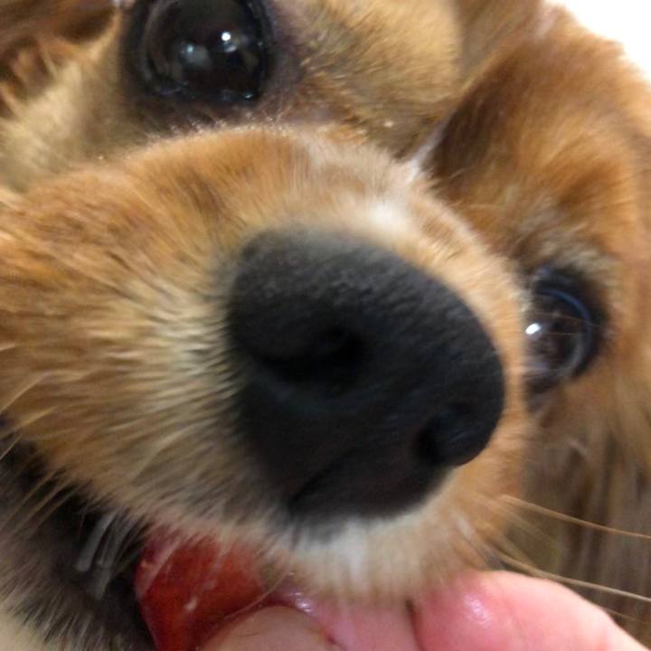 A2aed64d 177f 46f4 a276 e728049cc29d 1582544266572