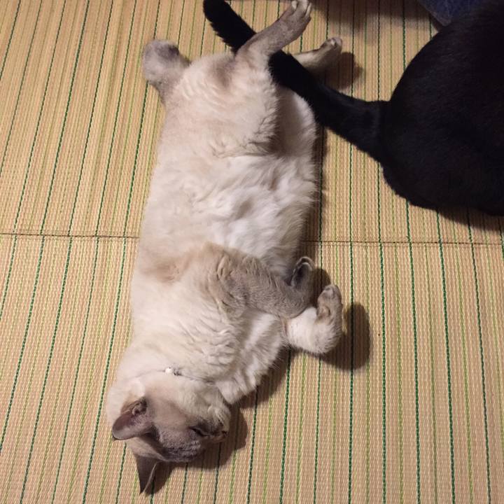 A2af0056 e1ac 44d1 9143 110980b0721e 1537526361581