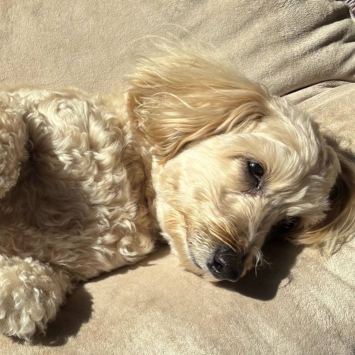 A2af1d8e ff52 4f0e 967e a87db0aa2b77 1768895384313