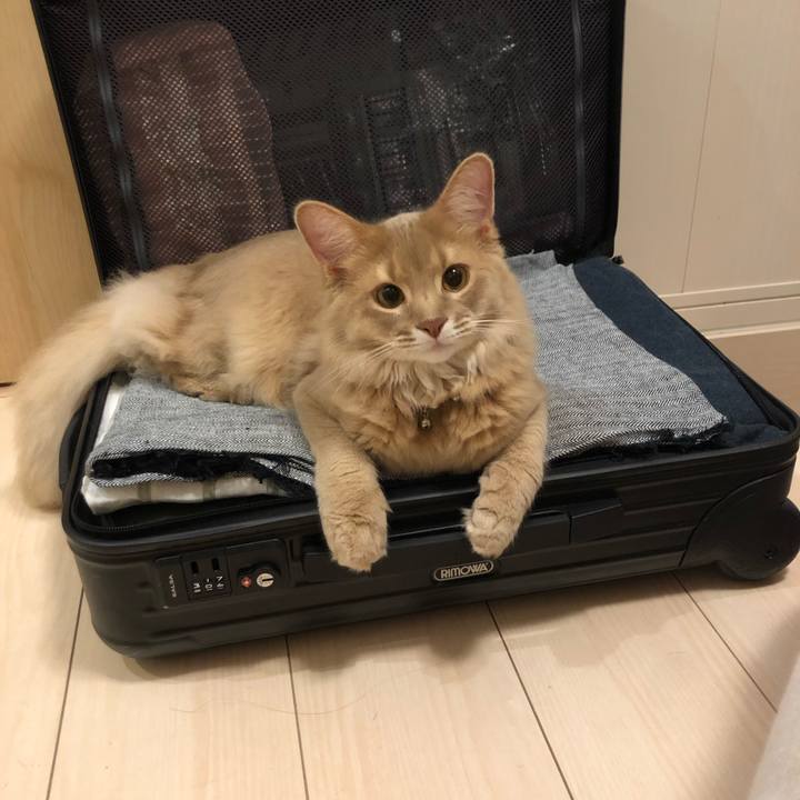 A2af2dcf ca0c 48b5 8ee7 361740c64de4 1562795070825