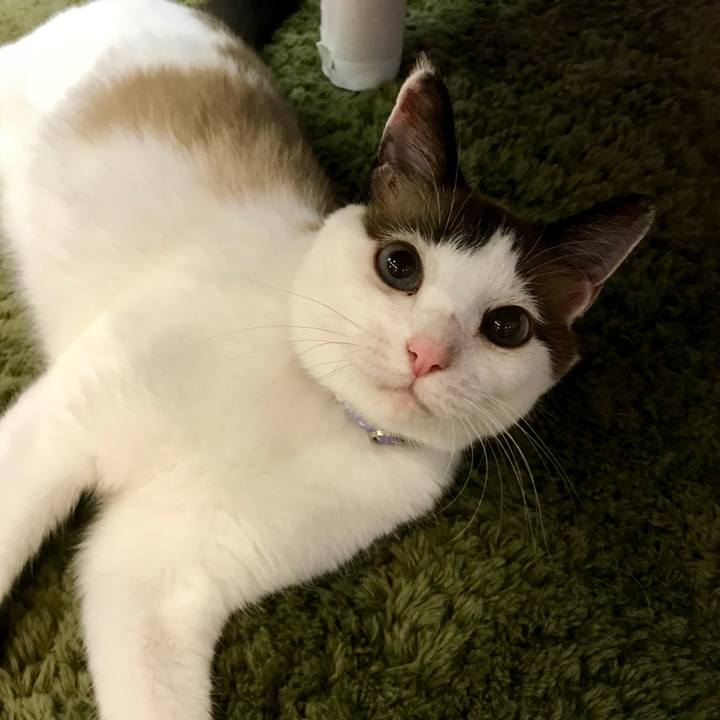 A2af9974 6fcb 4ee2 91e0 de1d5c5781c8 1564537996552